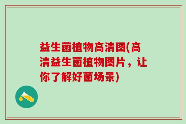 益生菌植物高清图(高清益生菌植物图片，让你了解好菌场景)