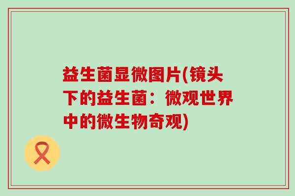 益生菌显微图片(镜头下的益生菌：微观世界中的微生物奇观)