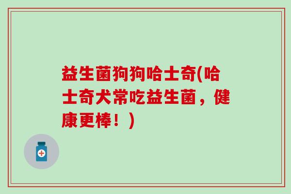 益生菌狗狗哈士奇(哈士奇犬常吃益生菌，健康更棒！)
