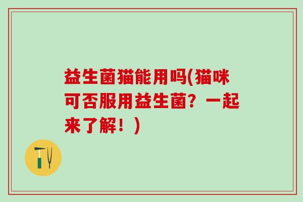 益生菌猫能用吗(猫咪可否服用益生菌？一起来了解！)
