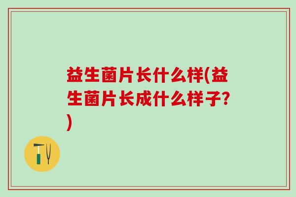 益生菌片长什么样(益生菌片长成什么样子？)