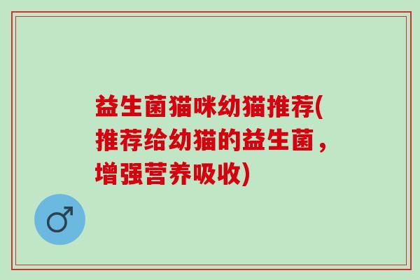 益生菌猫咪幼猫推荐(推荐给幼猫的益生菌，增强营养吸收)