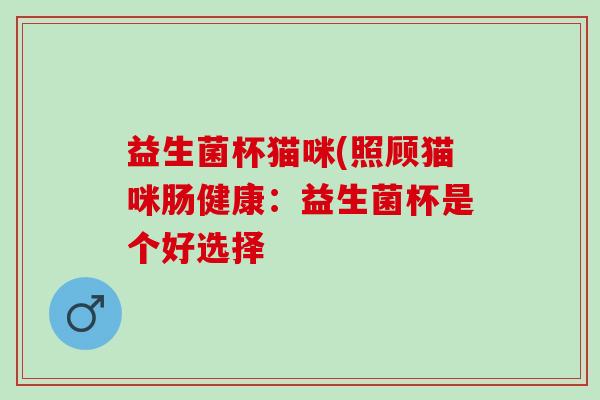 益生菌杯猫咪(照顾猫咪肠健康：益生菌杯是个好选择