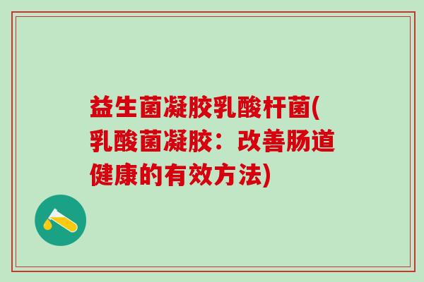 益生菌凝胶乳酸杆菌(乳酸菌凝胶：改善肠道健康的有效方法)