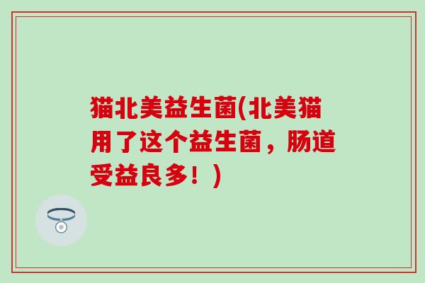 猫北美益生菌(北美猫用了这个益生菌，肠道受益良多！)