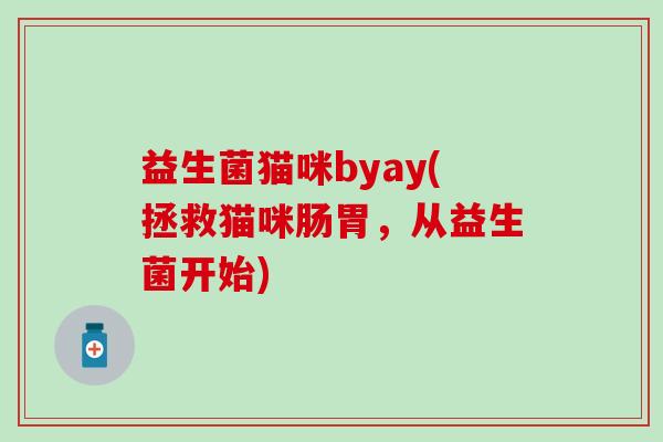益生菌猫咪byay(拯救猫咪肠胃，从益生菌开始)