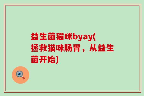 益生菌猫咪byay(拯救猫咪肠胃，从益生菌开始)