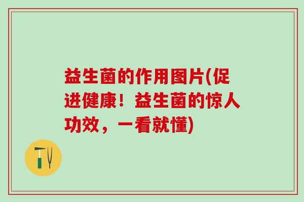 益生菌的作用图片(促进健康！益生菌的惊人功效，一看就懂)