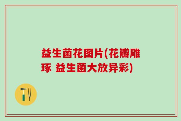 益生菌花图片(花瓣雕琢 益生菌大放异彩)