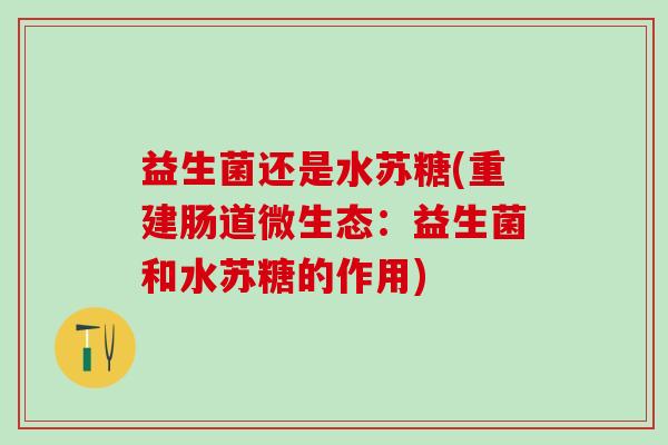 益生菌还是水苏糖(重建肠道微生态：益生菌和水苏糖的作用)