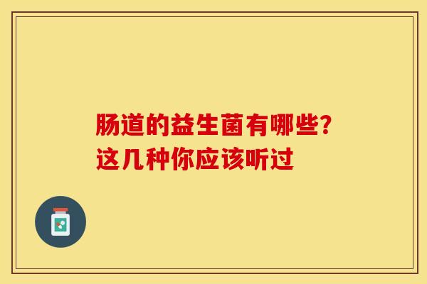 肠道的益生菌有哪些？这几种你应该听过