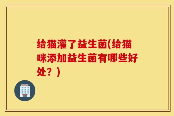 给猫灌了益生菌(给猫咪添加益生菌有哪些好处？)