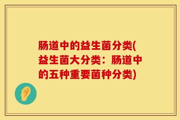 肠道中的益生菌分类(益生菌大分类：肠道中的五种重要菌种分类)