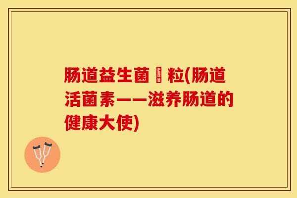 肠道益生菌粿粒(肠道活菌素——滋养肠道的健康大使)