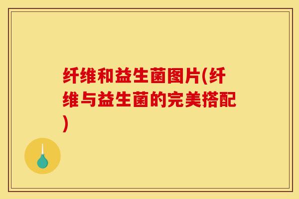纤维和益生菌图片(纤维与益生菌的完美搭配)