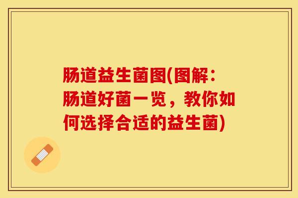 肠道益生菌图(图解：肠道好菌一览，教你如何选择合适的益生菌)