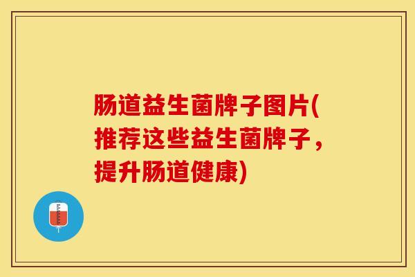 肠道益生菌牌子图片(推荐这些益生菌牌子，提升肠道健康)