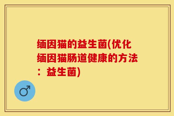 缅因猫的益生菌(优化缅因猫肠道健康的方法：益生菌)
