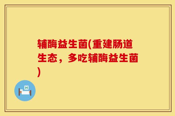 辅酶益生菌(重建肠道生态，多吃辅酶益生菌)