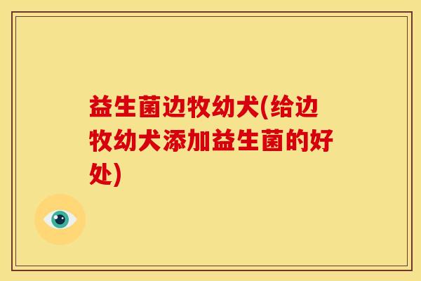 益生菌边牧幼犬(给边牧幼犬添加益生菌的好处)