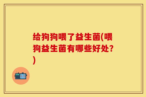 给狗狗喂了益生菌(喂狗益生菌有哪些好处？)