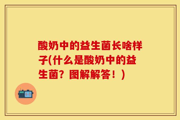 酸奶中的益生菌长啥样子(什么是酸奶中的益生菌？图解解答！)