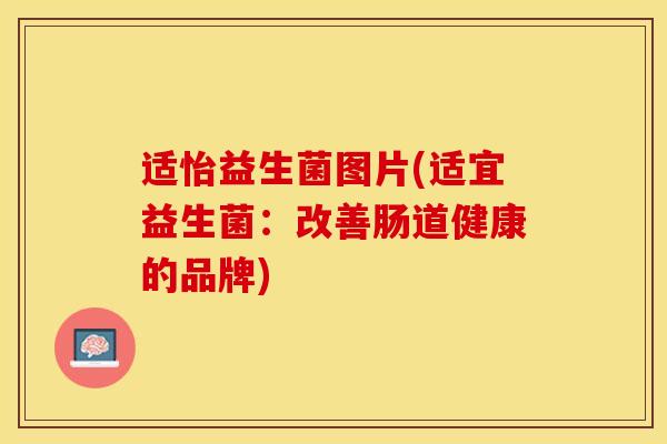 适怡益生菌图片(适宜益生菌：改善肠道健康的品牌)