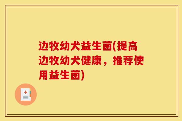 边牧幼犬益生菌(提高边牧幼犬健康，推荐使用益生菌)