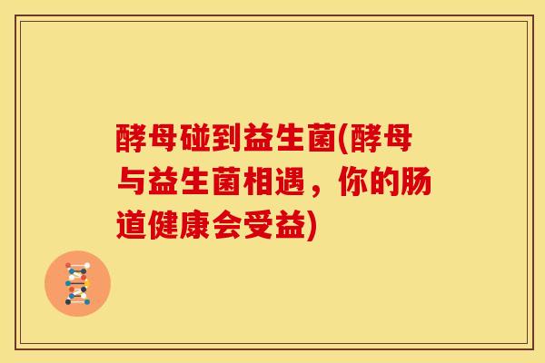 酵母碰到益生菌(酵母与益生菌相遇，你的肠道健康会受益)