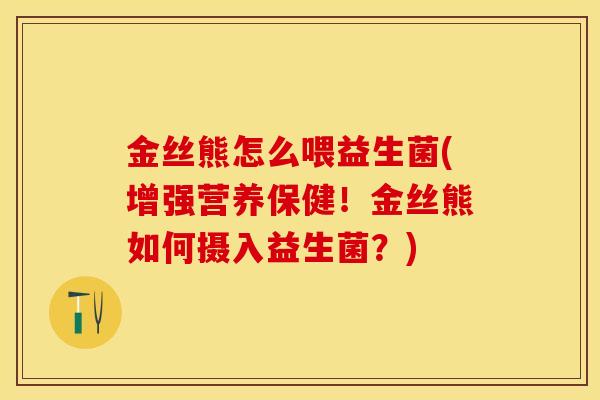 金丝熊怎么喂益生菌(增强营养保健！金丝熊如何摄入益生菌？)