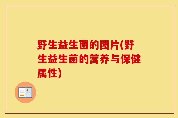 野生益生菌的图片(野生益生菌的营养与保健属性)