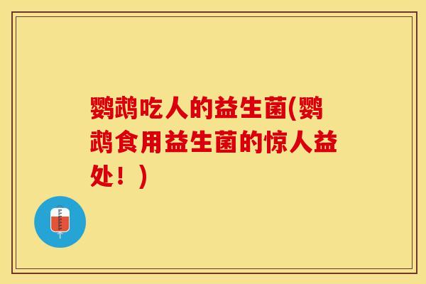 鹦鹉吃人的益生菌(鹦鹉食用益生菌的惊人益处！)
