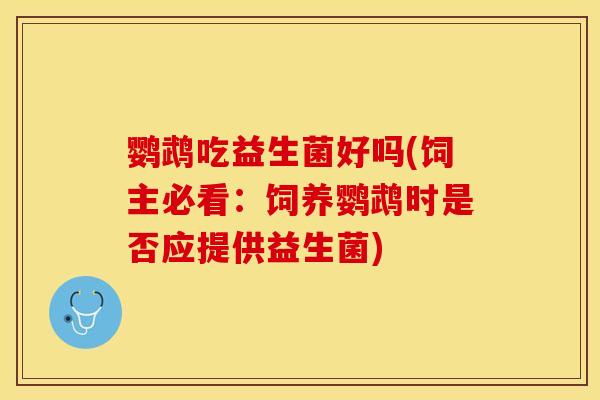 鹦鹉吃益生菌好吗(饲主必看：饲养鹦鹉时是否应提供益生菌)