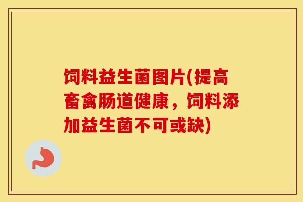 饲料益生菌图片(提高畜禽肠道健康，饲料添加益生菌不可或缺)