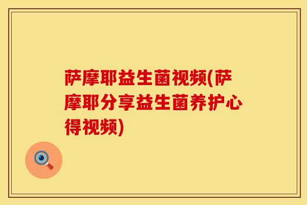 萨摩耶益生菌视频(萨摩耶分享益生菌养护心得视频)