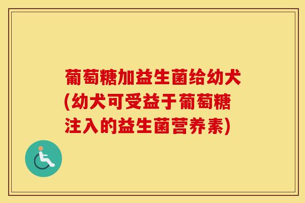 葡萄糖加益生菌给幼犬(幼犬可受益于葡萄糖注入的益生菌营养素)