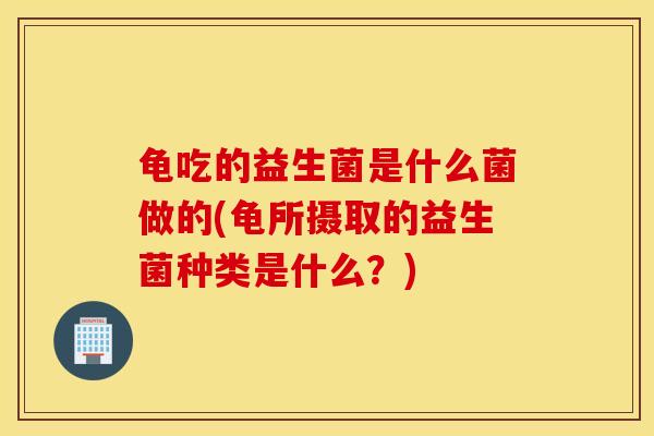 龟吃的益生菌是什么菌做的(龟所摄取的益生菌种类是什么？)