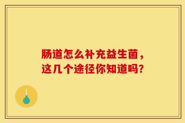 肠道怎么补充益生菌，这几个途径你知道吗？