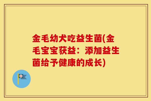 金毛幼犬吃益生菌(金毛宝宝获益：添加益生菌给予健康的成长)