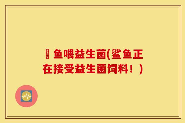 魟鱼喂益生菌(鲨鱼正在接受益生菌饲料！)