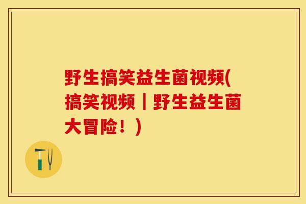 野生搞笑益生菌视频(搞笑视频｜野生益生菌大冒险！)