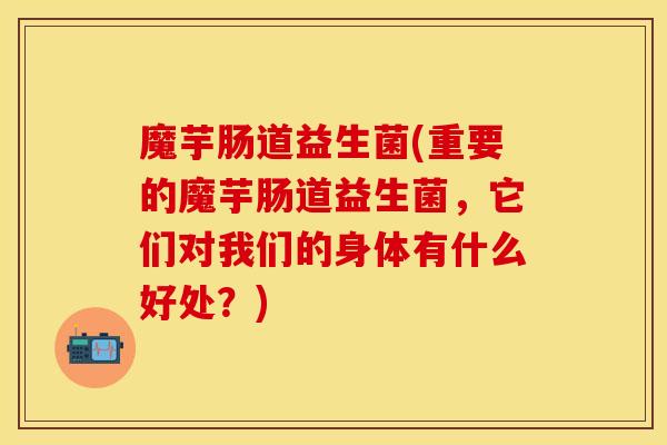 魔芋肠道益生菌(重要的魔芋肠道益生菌，它们对我们的身体有什么好处？)