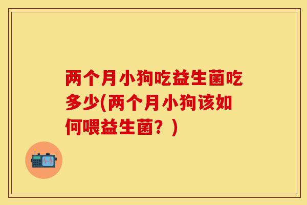 两个月小狗吃益生菌吃多少(两个月小狗该如何喂益生菌？)