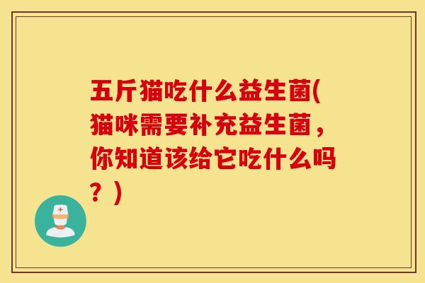 五斤猫吃什么益生菌(猫咪需要补充益生菌，你知道该给它吃什么吗？)