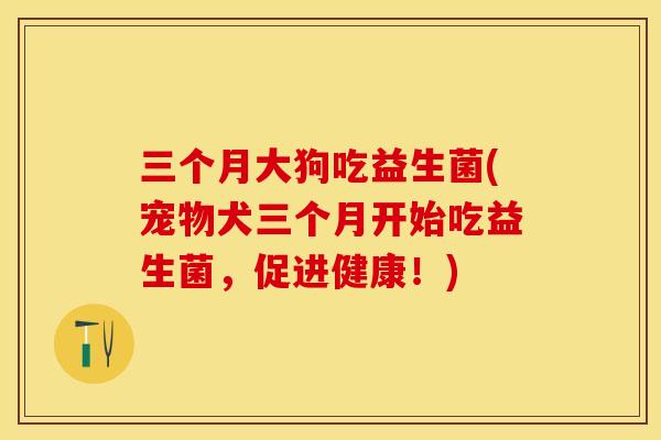 三个月大狗吃益生菌(宠物犬三个月开始吃益生菌，促进健康！)