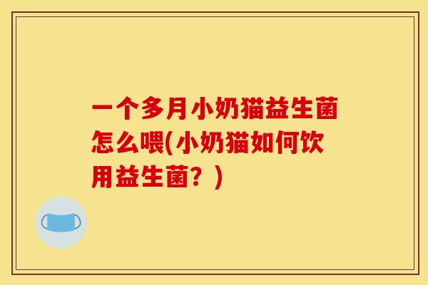 一个多月小奶猫益生菌怎么喂(小奶猫如何饮用益生菌？)