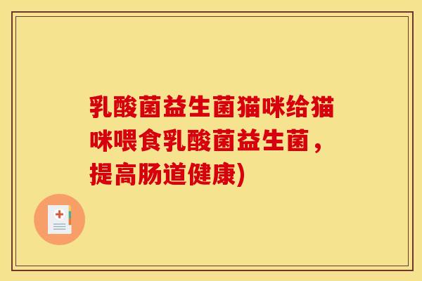 乳酸菌益生菌猫咪给猫咪喂食乳酸菌益生菌，提高肠道健康)