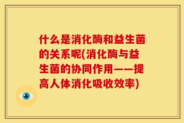 什么是消化酶和益生菌的关系呢(消化酶与益生菌的协同作用——提高人体消化吸收效率)