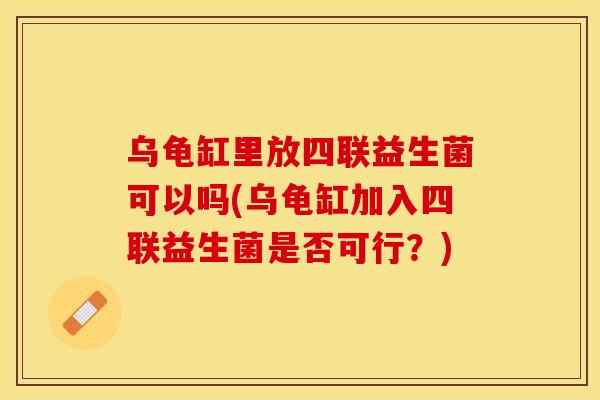 乌龟缸里放四联益生菌可以吗(乌龟缸加入四联益生菌是否可行？)