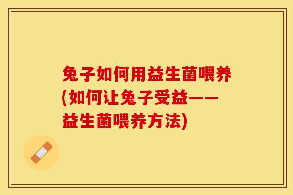 兔子如何用益生菌喂养(如何让兔子受益——益生菌喂养方法)